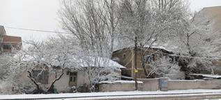 Erzurum'da soğuk hava ve kar yağışı etkili oluyor (2)