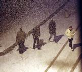 Van'da kar yağışı etkili oldu