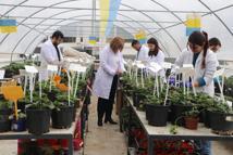 Öğrencileri olumsuz hava şartlarından korumak için fakültenin terasına sera kurdu / Ek fotoğraflar