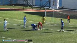 Maçta sahaya girip uyuyan köpek güldürdü