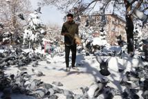 Esnaf, sokaktaki güvercinleri 20 yıldır besliyor