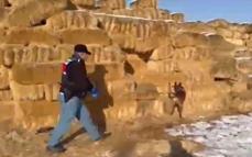 Kayseri'de saman balyaları arasında 1,4 kilo esrar ele geçirildi; 3 gözaltı