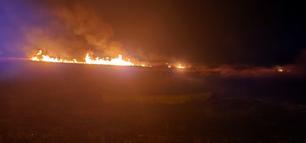 Eber Gölü'nde 5 farklı noktada yangın çıktı