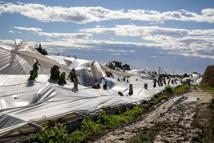 Hortumun neden olduğu zarar, gün ağardığında ortaya çıktı (2)