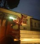 Salihli'de çatıda mahsur kalan kediyi itfaiye kurtardı