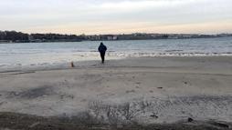 Tekirdağ'da deniz 50 metre çekildi