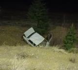 Domuza çarpan otomobil, şarampole yuvarlandı; 1 ölü