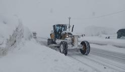 Bitlis'te kardan kapanan 197 yerleşim yerinin yolu açıldı