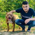 Gece kaza yapan otomobil, gündüz fark edildi