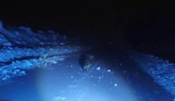 Görüntülemek istedikleri kurdun saldırısından araçlarına binerek kurtuldular