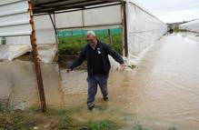 'Sarı kod'la uyarılan Antalya'da tarım alanları su altında kaldı / Ek fotoğraflar