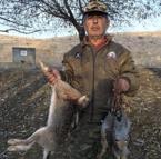 Kangal cinsi köpeği av tüfeğiyle vurarak öldürdüğü iddia edilen şüpheli tutuklandı