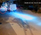 Kamyonet sürücüsü, araca havlayan köpeği ezdi