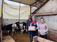 Tekirdağ'da besici çiftin üçüz buzağı sevinci