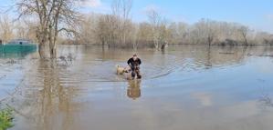 Meriç Nehri'nde su seviyesi arttı; DSİ 'turuncu alarm' uyarısında bulundu (2)