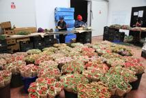 Türk çiçeğinde 160 milyon dolarlık ihracat rekoru