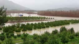 Antalya'yı sağanak vurdu; 7 ilçede okullar tatil edildi / Ek fotoğraflar