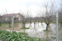 Kuşadası’nda sağanak etkili oldu; evlerin bahçeleri ve tarım arazileri su altında kaldı