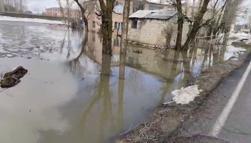 Muş’ta sağanak nedeniyle ev ve ahırları su bastı