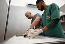 Anamur’a kedi kısırlaştırma merkezi açıldı