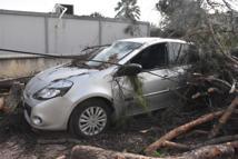 İzmir’de kuvvetli rüzgarda park halindeki otomobilin üzerine ağaç devirdi