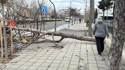 Edirne ve Kırklareli için 'fırtına' uyarısı