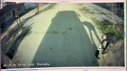 Başı konserve kutusuna sıkışan kediyi otobüs şoförü kurtardı