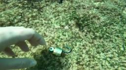 Denizden 'büyü malzemesi' çıkarıyor