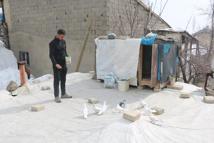 Evinin damında 3 ırktan 50 güvercin besliyor