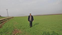 Gaziantep’te yağışlar çiftçilerin yüzünü güldürdü