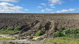 İstanbul - Öldürülen Çinli iş insanının kaçırıldığı anların görüntüleri ortaya çıktı -1