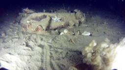 THY'nin 51 yıl önce düşen uçağının enkazından yeni parçalar bulundu