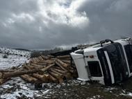 Tomruk yüklü TIR devrildi, araçta sıkışan sürücü yaralandı