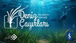 ‘Deniz çayırları iklim değişikliği, kirlilik gibi nedenlerle ciddi oranda azalıyor’