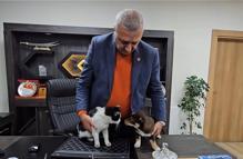 Başkanın makamı Mia ve Fındık’ın yuvası oldu