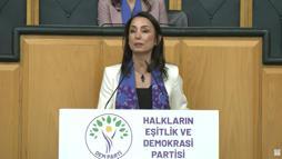 DEM Parti'li Hatimoğulları: AİHM ve AYM kararları uygulanmalı