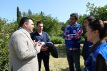 Bodrum'da üreticilere ağaç budama eğitimi verildi