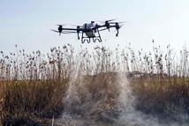 Sivrisinek ve zararlılara karşı İzmir modeli