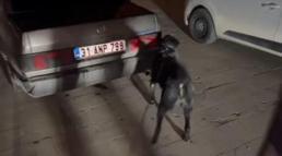 Hatay'da uyuşturucu operasyonu; 3 tutuklama