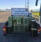 Aydın'da 942 litre taklit sahte zeytinyağı ele geçirildi, 2 gözaltı