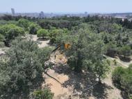 Üsküdar Belediyesi: Validebağ Korusu'nda yaptığımız çalışmalar Avrupa'nın en iyi uygulamaları arasında