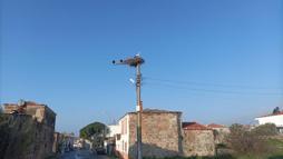 Küçükköy Mahallesi'ne baharın müjdecisi yılın ilk leyleği geldi