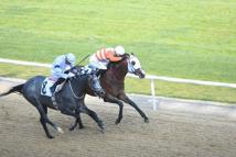 İzmir'de 64'üncü Hipodrom.com Ege Derbisi'nin kazananı The Protecter