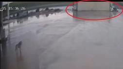 TIR’ın otomobilin üzerine devrildiği kaza kamerada; 2 yaralı