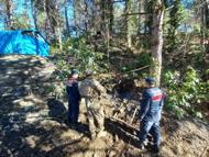 Zonguldak’ta 6 kaçak ocak imha edildi