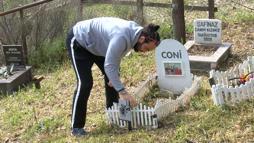 Türkiye'nin ilk evcil hayvan mezarlığına bayram ziyareti