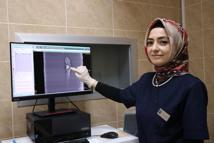 Akvaryumda taş yutan aksolotl balığı ameliyat edildi