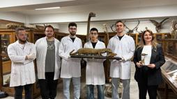 Doldurulmuş hayvan koleksiyonu, müzede korunuyor