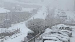 Yüksekova'da kar yağışı etkili oldu