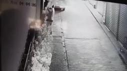 Camı açamayan hırsız, kapıdaki değerli süs ağacını söktü; o anlar kamerada